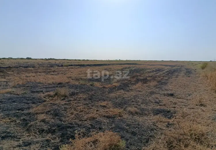 49 000 AZN - 0 m² Obyekt / Ofis , Sabirabad