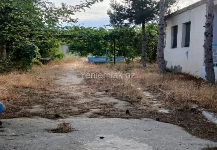 475 000 AZN - 25 sot Torpaq Satılır, Bilgəh qəs., Sabunçu, Bakı