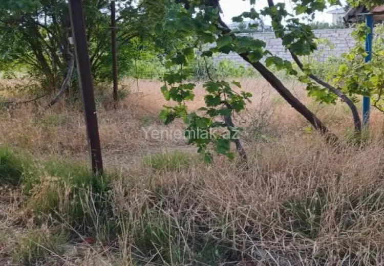 475 000 AZN - 25 sot Torpaq Satılır, Bilgəh qəs., Sabunçu, Bakı