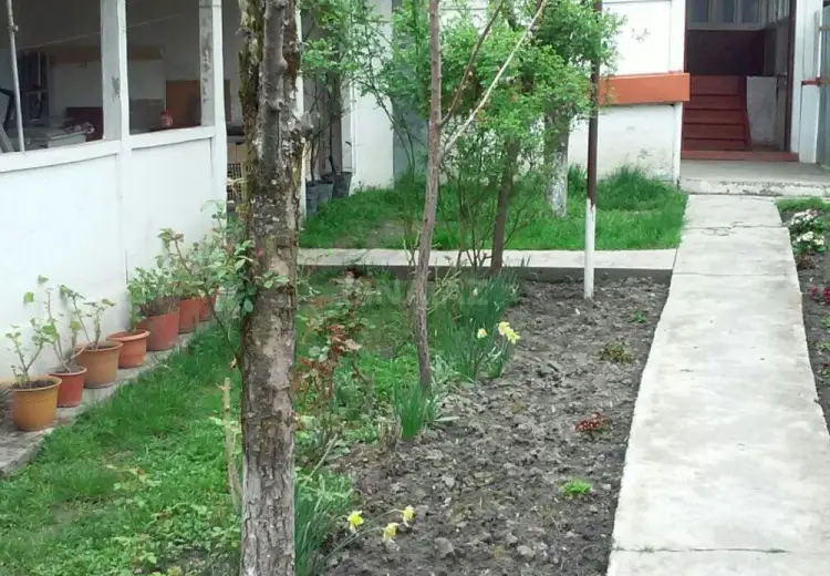 360 AZN - 3 otaqlı mənzil Kirayə (aylıq), Qəbələ