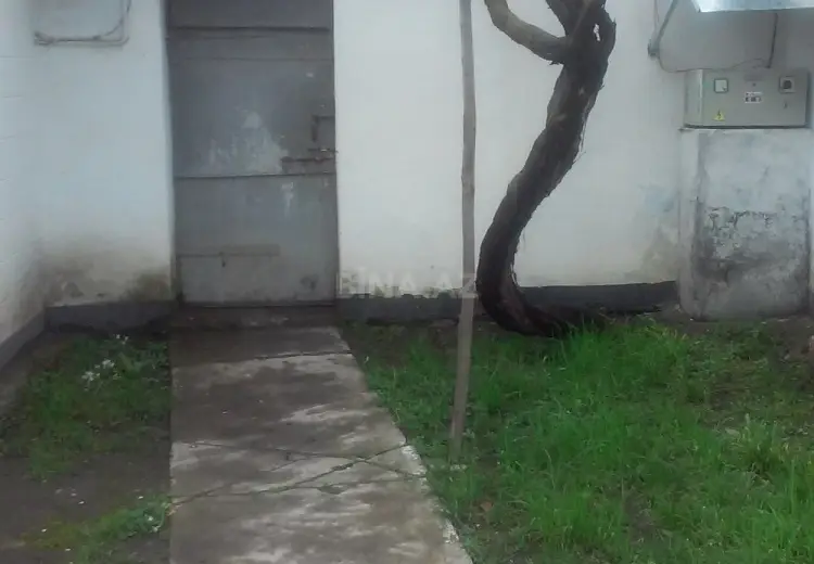 360 AZN - 3 otaqlı mənzil Kirayə (aylıq), Qəbələ