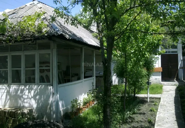 360 AZN - 3 otaqlı mənzil Kirayə (aylıq), Qəbələ