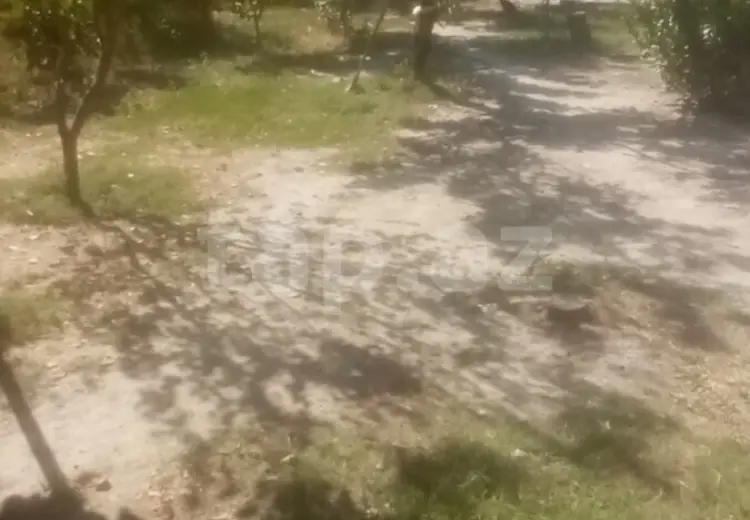 20 000 AZN - 0 m² Obyekt / Ofis , Ağdaş