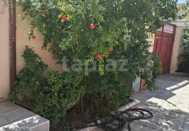 300 AZN - 1 otaqlı mənzil Kirayə (aylıq), Ramana qəs., Sabunçu, Bakı