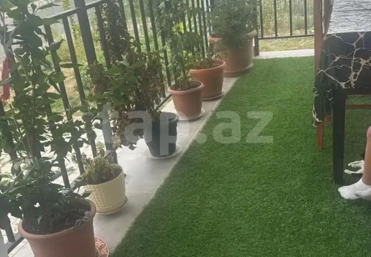 500 AZN - 2 otaqlı mənzil Kirayə (aylıq), Laçın