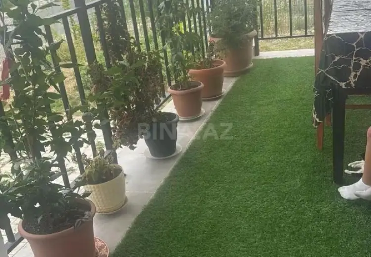 500 AZN - 2 otaqlı mənzil Kirayə (aylıq), Laçın