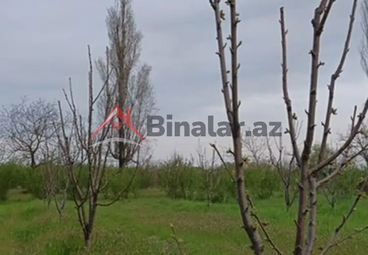 36 000 AZN - 27 sot Torpaq Satılır, Xudat