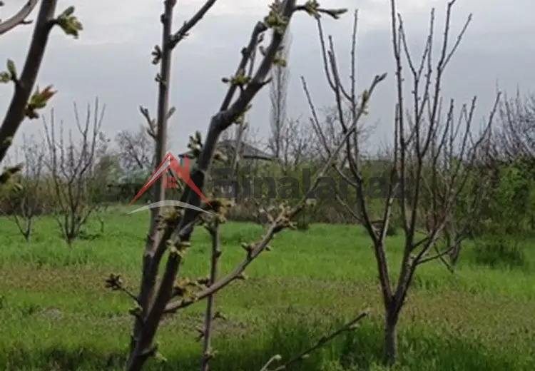 36 000 AZN - 27 sot Torpaq Satılır, Xudat