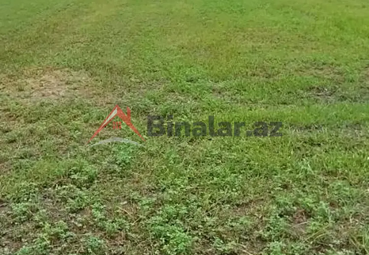 50 000 AZN - 75 sot Torpaq Satılır, Şabran