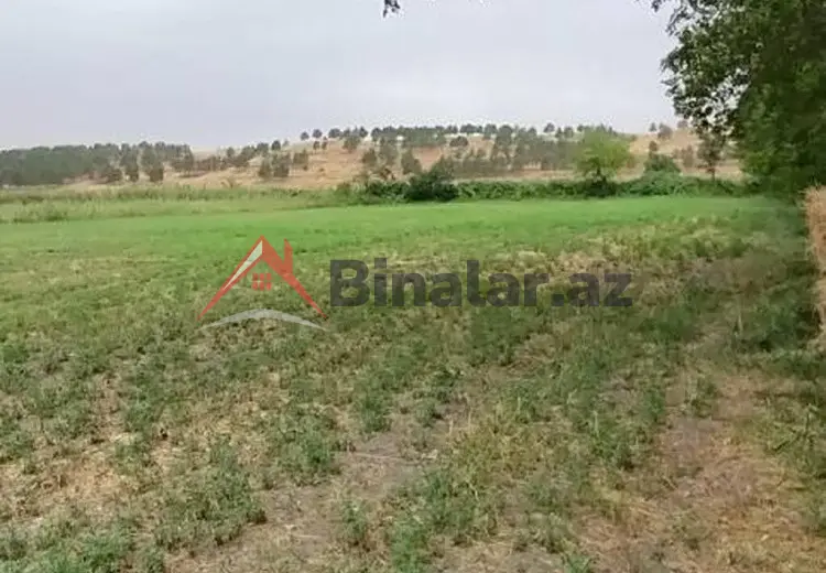 50 000 AZN - 75 sot Torpaq Satılır, Şabran