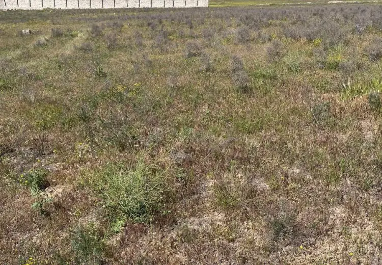 32 500 AZN - 5 sot Torpaq Satılır, Dübəndi, Xəzər, Bakı