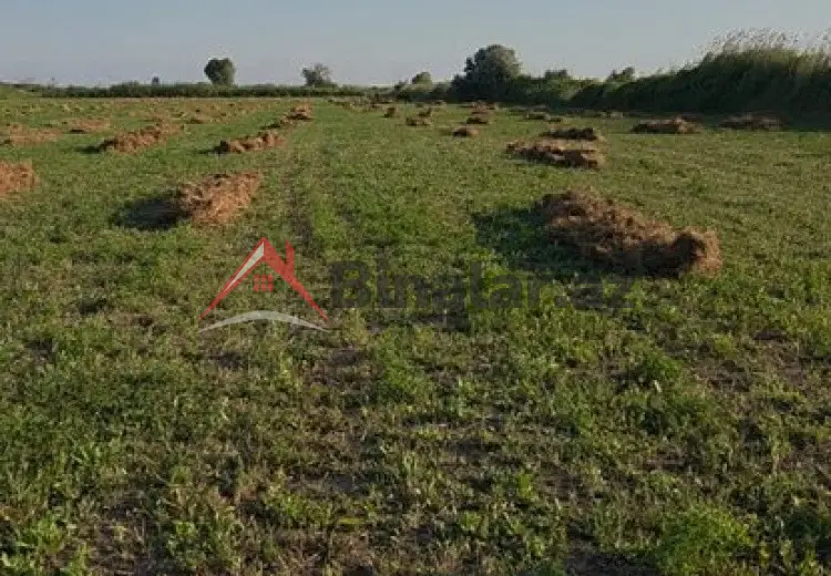 17 000 AZN - 17800 sot Torpaq Satılır, Sabirabad