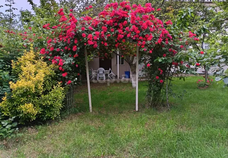 550 AZN - 3 otaqlı mənzil Kirayə (aylıq), Qusar