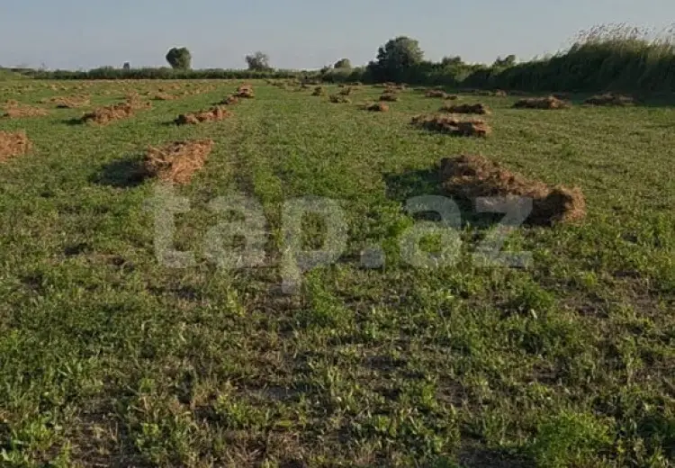 17 000 AZN - 0 m² Obyekt / Ofis , Sabirabad
