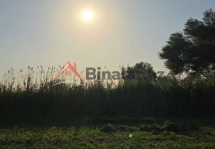 17 000 AZN - 17800 sot Torpaq Satılır, Biləsuvar