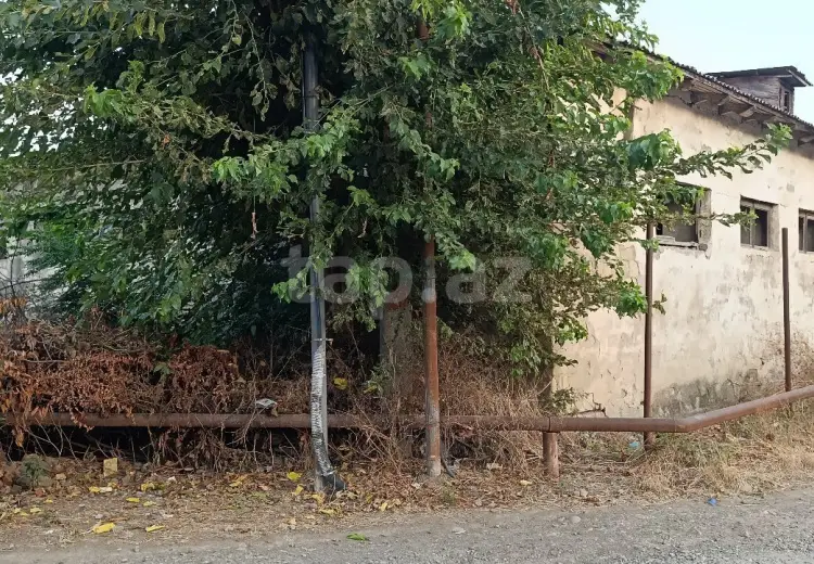 55 000 AZN - 0 m² Obyekt / Ofis , Cəlilabad