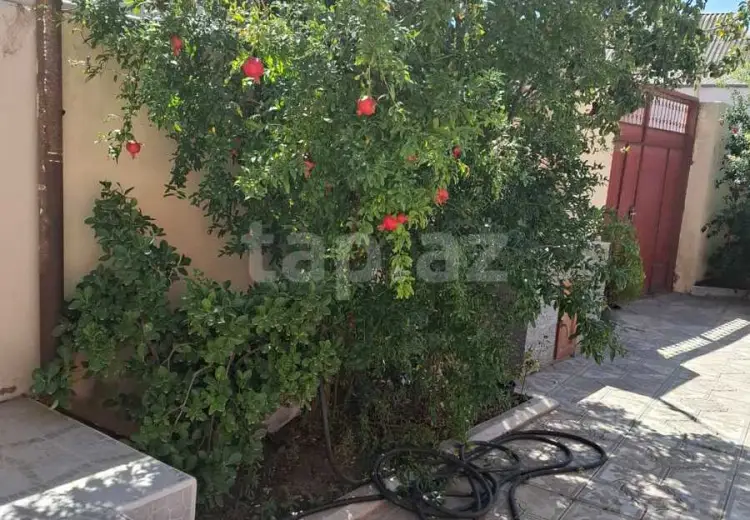 300 AZN - 1 otaqlı mənzil Kirayə (aylıq), Ramana qəs., Sabunçu, Bakı