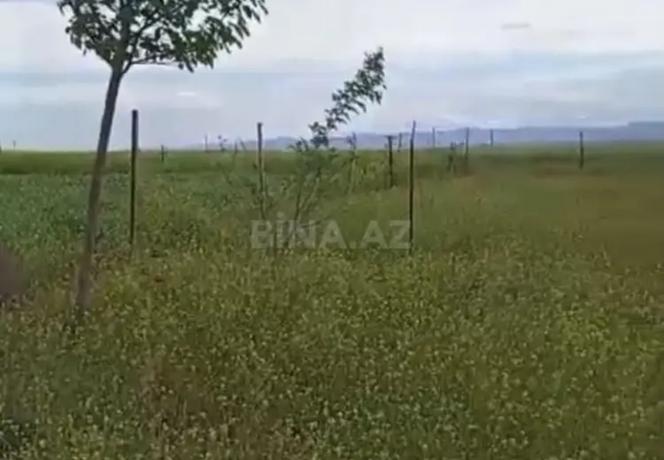 15 999 AZN - 12 sot Torpaq Satılır, Cəlilabad