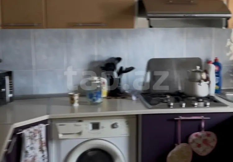 400 AZN - 2 otaqlı mənzil Kirayə (aylıq), NZS, Xətai, Bakı