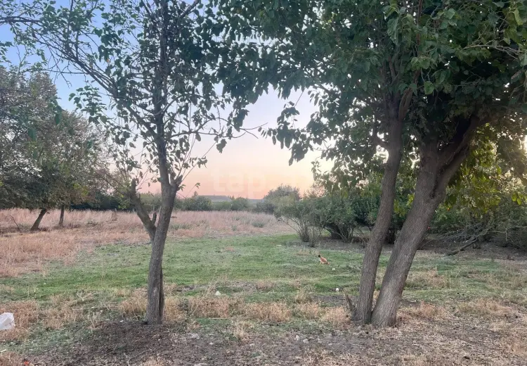 30 000 AZN - 4 otaqlı mənzil , Biləsuvar