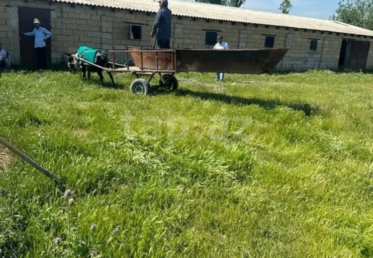 1 300 000 AZN - 0 m² Obyekt / Ofis , Göyçay