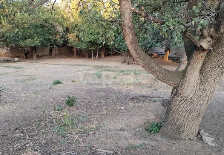 99 000 AZN - 0 m² Obyekt / Ofis , Naxçıvan MR
