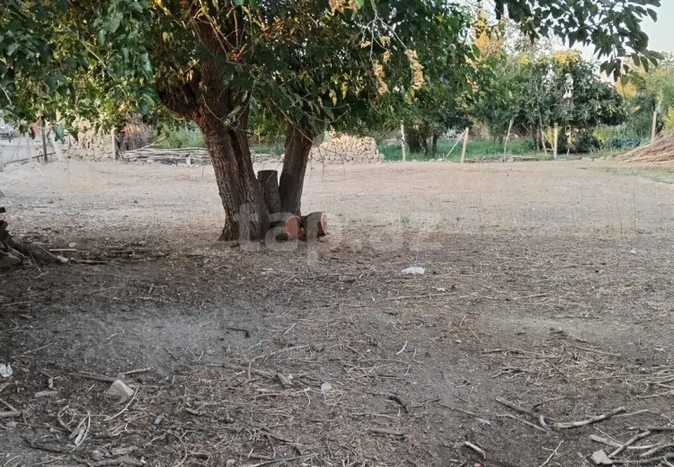 99 000 AZN - 0 m² Obyekt / Ofis , Naxçıvan MR