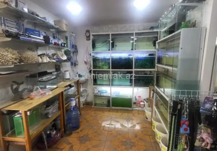 2 800 AZN - 65 m² Obyekt / Ofis Kirayə (aylıq), Yasamal qəs., Yasamal, Bakı