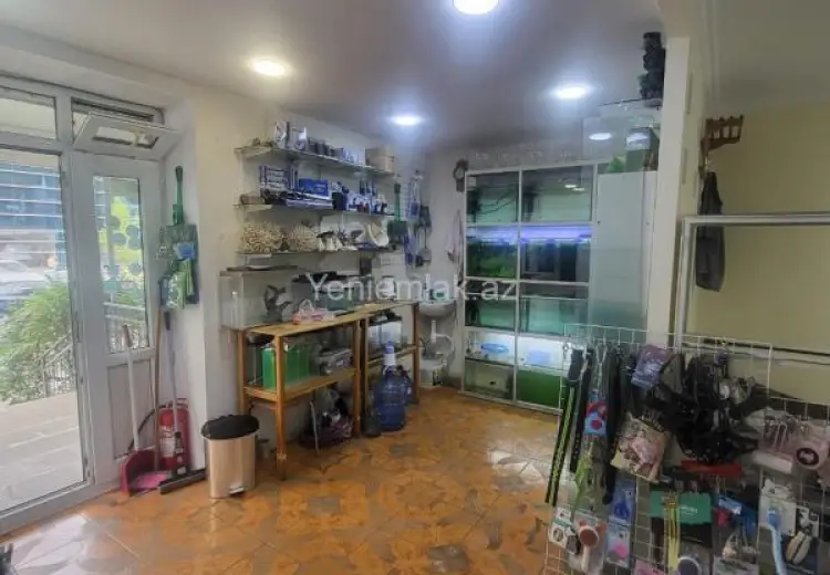 2 800 AZN - 65 m² Obyekt / Ofis Kirayə (aylıq), Yasamal qəs., Yasamal, Bakı