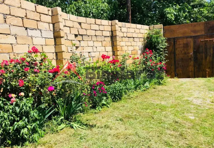 500 AZN - 3 otaqlı mənzil Kirayə (aylıq), Qəbələ