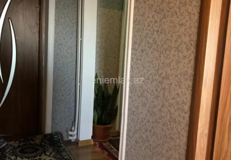 450 AZN - 3 otaqlı mənzil Kirayə (aylıq), Qəbələ
