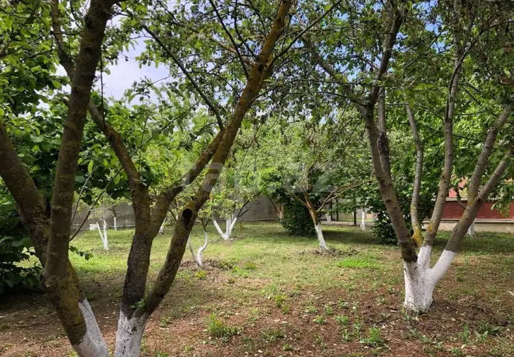 275 000 AZN - 5 otaqlı mənzil , Nabran