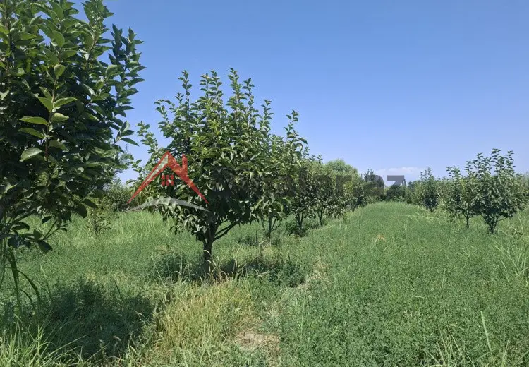 40 000 AZN - 100 sot Torpaq Satılır, Göyçay