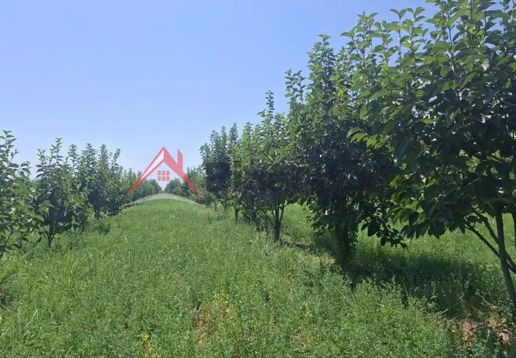 40 000 AZN - 100 sot Torpaq Satılır, Göyçay