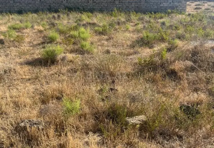 40 000 AZN - 5 sot Torpaq Satılır, Dübəndi, Xəzər, Bakı