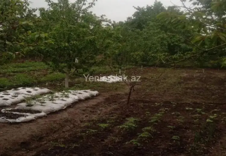40 000 AZN - 4 otaqlı mənzil Satılır, Quba