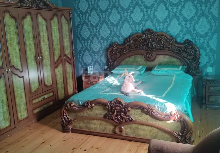 500 AZN - 3 otaqlı mənzil Kirayə (aylıq), Qəbələ