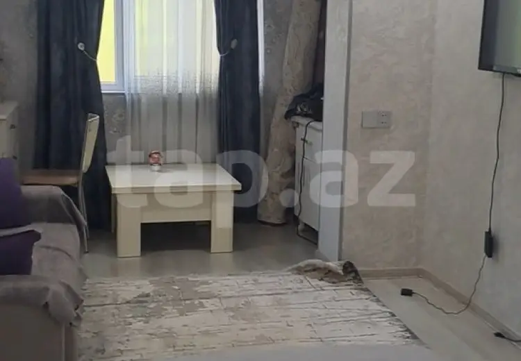 350 AZN - 1 otaqlı mənzil Kirayə (aylıq), Şəki