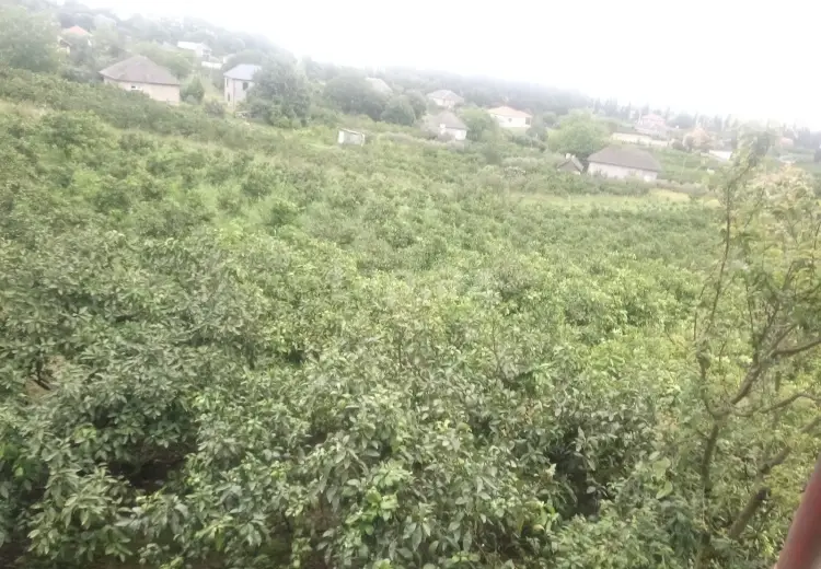 30 000 AZN - 0 m² Obyekt / Ofis , Astara