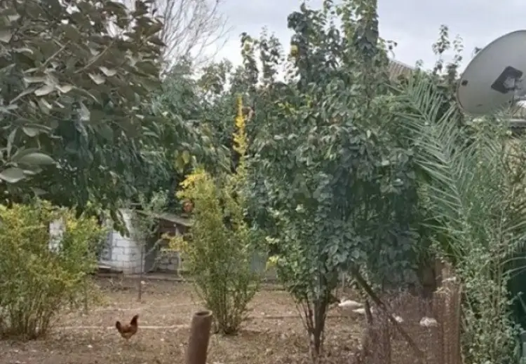 64 000 AZN - 4 otaqlı mənzil Satılır, İmişli