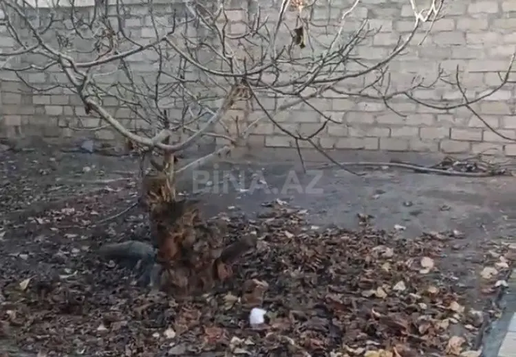79 500 AZN - 3 sot Torpaq Satılır, Gəncə