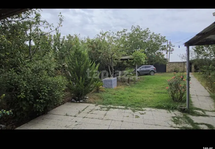 500 AZN - 3 otaqlı mənzil Kirayə (aylıq), Qəbələ