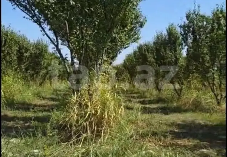 110 000 AZN - 0 m² Obyekt / Ofis , Göyçay