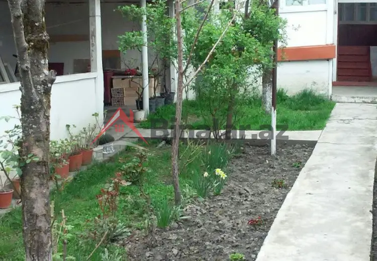 80 AZN - 3 otaqlı mənzil Kirayə (aylıq), Qəbələ