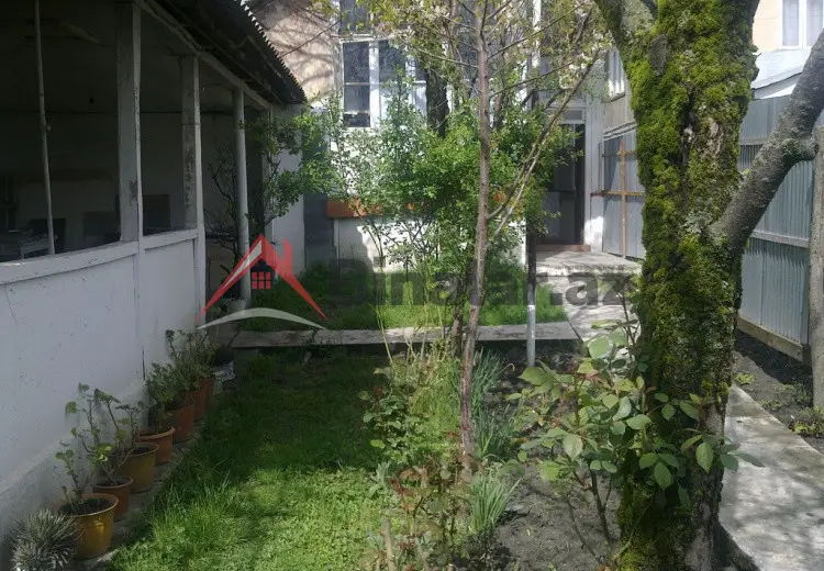 80 AZN - 3 otaqlı mənzil Kirayə (aylıq), Qəbələ