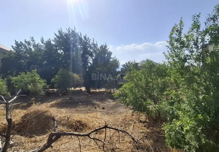 205 000 AZN - 10 sot Torpaq Satılır, Mehdiabad, Abşeron