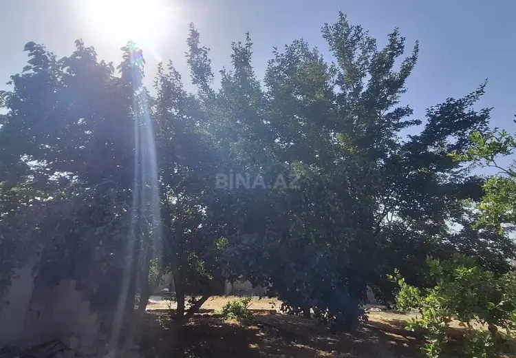 205 000 AZN - 10 sot Torpaq Satılır, Mehdiabad, Abşeron