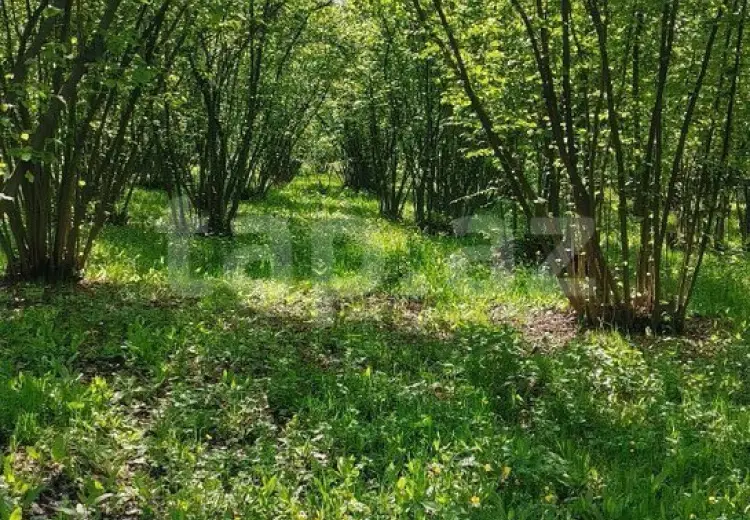 50 000 AZN - 0 m² Obyekt / Ofis , Qax