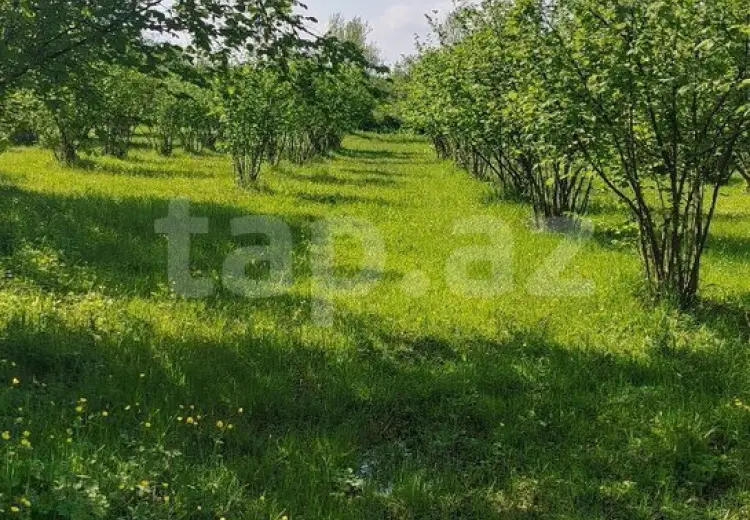 50 000 AZN - 0 m² Obyekt / Ofis , Qax