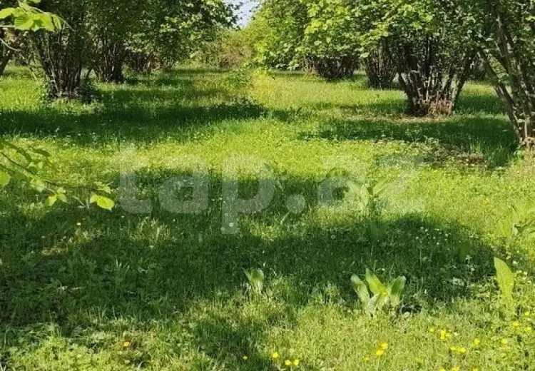 50 000 AZN - 0 m² Obyekt / Ofis , Qax